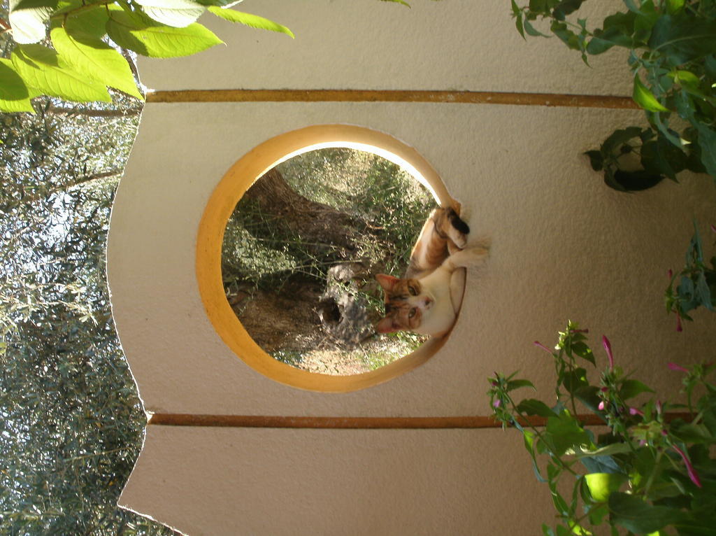 Athina Aparthotel Kávos Exterior foto